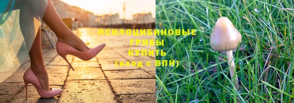 2c-b Балахна